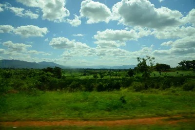 DSC_9671 (Large).JPG